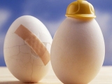 为“省”钱，蛋鸡养殖你的胜算几何？