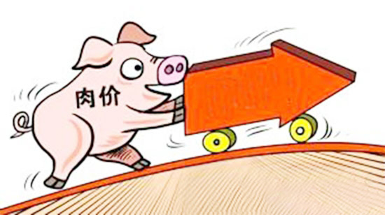 猪价上涨条件充足，近日上涨过快请养殖户理性计划和作为！